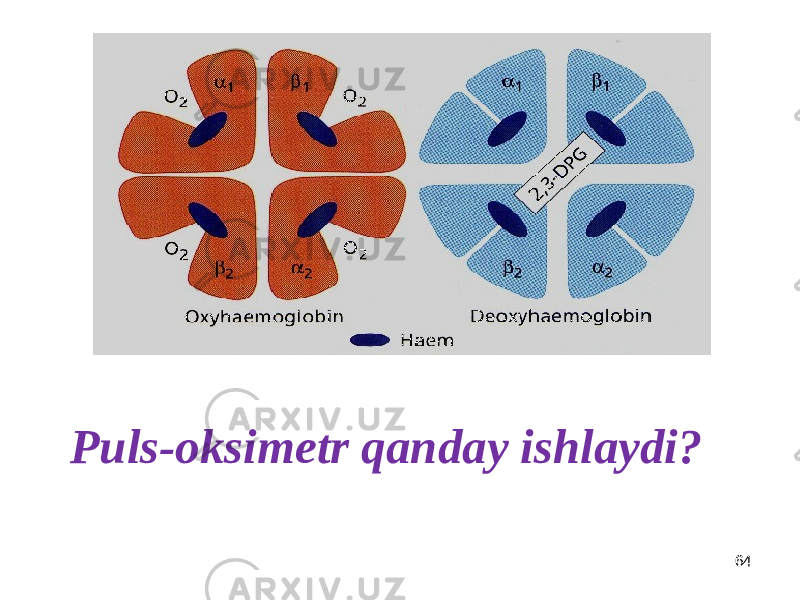 Puls-oksimetr qanday ishlaydi? 64 