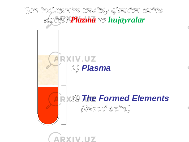 1) Plasma 2) The Formed Elements (blood cells)Qon ikki muhim tarkibiy qismdan tarkib topadi: Plazma va hujayralar 