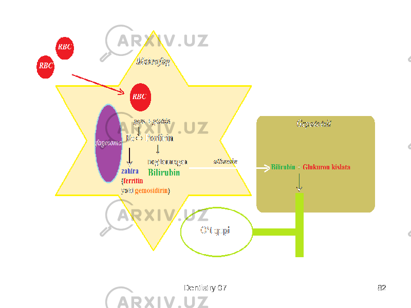 Dentistry 07 82 