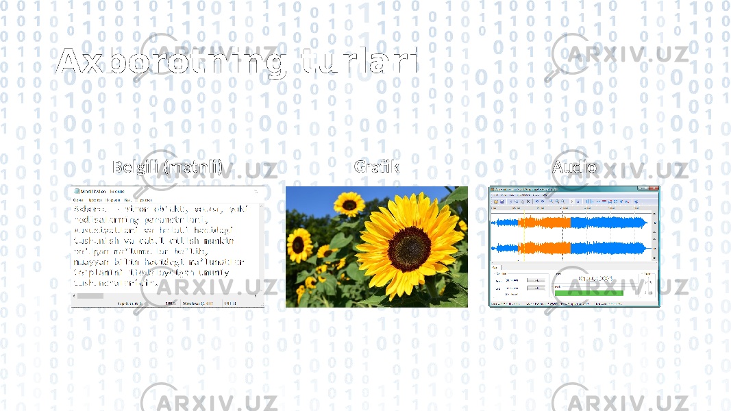 Axborotning turlari Belgili (matnli) Grafik Audio 