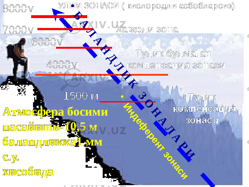 УЛИМ ЗОНАСИ ( кислородли асбобларсиз) ) 8000м 7000м Хавфли зона 6000м Тулик булмаган компенсация зонаси 4000м 1500 м Тулик компенсация зонаси• Б А Л А Н Д Л И К З О Н А Л А Р ИАтмосфера босими пасайиши-10,5 м баландликка1 мм с.у. хисобида • И н д е ф е р е н т з о н а с и 