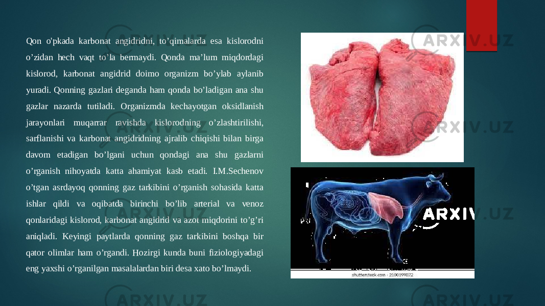 Qon o&#39;pkada karbonat angidridni, to’qimalarda esa kislorodni o’zidan hech vaqt to’la bermaydi. Qonda ma’lum miqdordagi kislorod, karbonat angidrid doimo organizm bo’ylab aylanib yuradi. Qonning gazlari deganda ham qonda bo’ladigan ana shu gazlar nazarda tutiladi. Organizmda kechayotgan oksidlanish jarayonlari muqarrar ravishda kislorodning o’zlashtirilishi, sarflanishi va karbonat angidridning ajralib chiqishi bilan birga davom etadigan bo’lgani uchun qondagi ana shu gazlarni o’rganish nihoyatda katta ahamiyat kasb etadi. I.M.Sechenov o’tgan asrdayoq qonning gaz tarkibini o’rganish sohasida katta ishlar qildi va oqibatda birinchi bo’lib arterial va venoz qonlaridagi kislorod, karbonat angidrid va azot miqdorini to’g’ri aniqladi. Keyingi paytlarda qonning gaz tarkibini boshqa bir qator olimlar ham o’rgandi. Hozirgi kunda buni fiziologiyadagi eng yaxshi o’rganilgan masalalardan biri desa xato bo’lmaydi. 