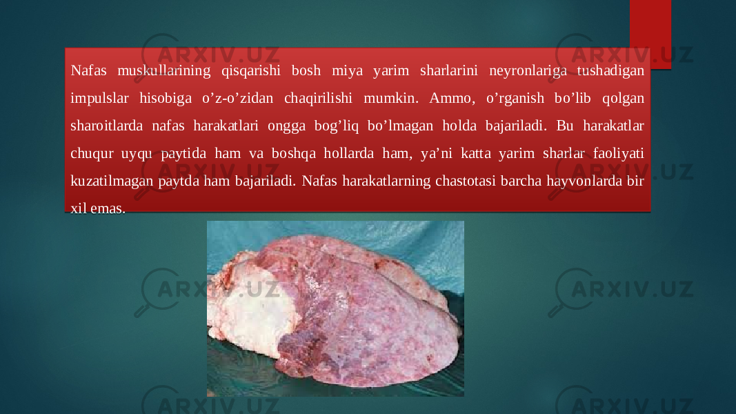 Nafas muskullarining qisqarishi bosh miya yarim sharlarini neyronlariga tushadigan impulslar hisobiga o’z-o’zidan chaqirilishi mumkin. Ammo, o’rganish bo’lib qolgan sharoitlarda nafas harakatlari ongga bog’liq bo’lmagan holda bajariladi. Bu harakatlar chuqur uyqu paytida ham va boshqa hollarda ham, ya’ni katta yarim sharlar faoliyati kuzatilmagan paytda ham bajariladi. Nafas harakatlarning chastotasi barcha hayvonlarda bir xil emas. 08 0D 0A0E 1F 19 22 