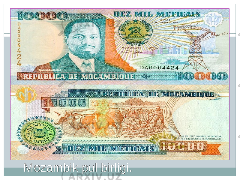 Mozambik pul birligi. 