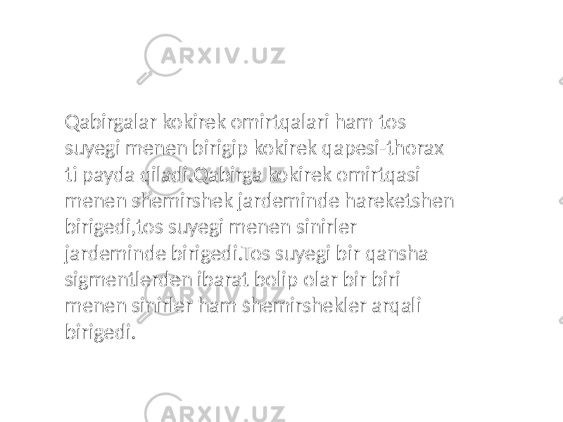 Qabirgalar kokirek omirtqalari ham tos suyegi menen birigip kokirek qapesi-thorax ti payda qiladi.Qabirga kokirek omirtqasi menen shemirshek jardeminde hareketshen birigedi,tos suyegi menen sinirler jardeminde birigedi.Tos suyegi bir qansha sigmentlerden ibarat bolip olar bir biri menen sinirler ham shemirshekler arqali birigedi. 