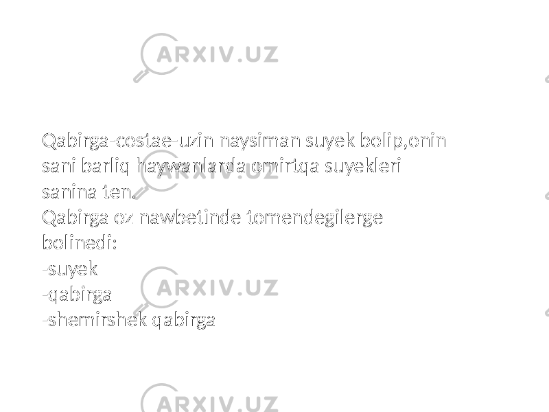 Qabirga-costae-uzin naysiman suyek bolip,onin sani barliq haywanlarda omirtqa suyekleri sanina ten. Qabirga oz nawbetinde tomendegilerge bolinedi: -suyek -qabirga -shemirshek qabirga 