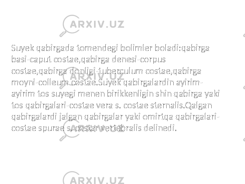 Suyek qabirgada tomendegi bolimler boladi:qabirga basi-caput costae,qabirga denesi-corpus costae,qabirga donligi-tuberculum costae,qabirga moyni-colleum costae.Suyek qabirgalardin ayirim- ayirim tos suyegi menen birikkenligin shin qabirga yaki tos qabirgalari-costae vera s. costae sternalis.Qalgan qabirgalardi jalgan qabirgalar yaki omirtqa qabirgalari- costae spurae s. costar vertebralis delinedi. 