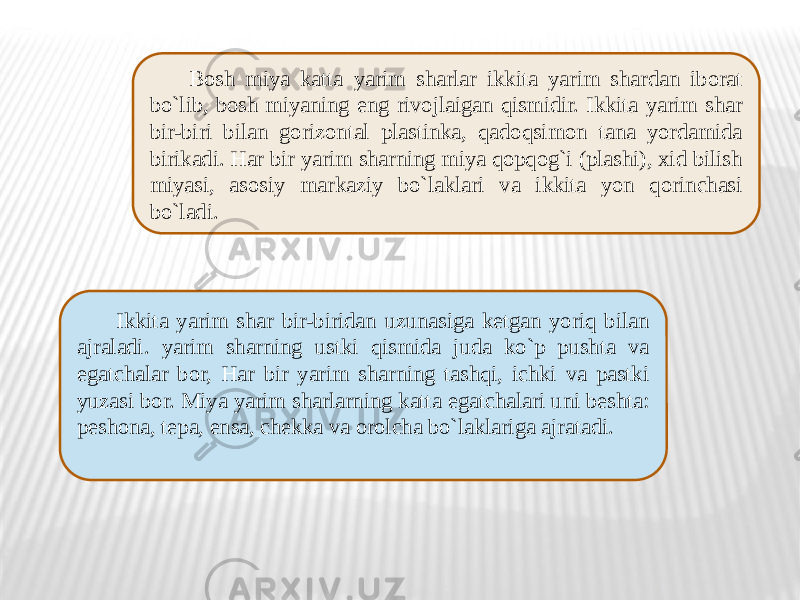 Bosh miya katta yarim sharlar ikkita yarim shardan iborat bo`lib, bosh miyaning eng rivojlaigan qismidir. Ikkita yarim shar bir-biri bilan gorizontal plastinka, qadoqsimon tana yordamida birikadi. Har bir yarim sharning miya qopqog`i (plashi), xid bilish miyasi, asosiy markaziy bo`laklari va ikkita yon qorinchasi bo`ladi. Ikkita yarim shar bir-biridan uzunasiga ketgan yoriq bilan ajraladi. yarim sharning ustki qismida juda ko`p pushta va egatchalar bor, Har bir yarim sharning tashqi, ichki va pastki yuzasi bor. Miya yarim sharlarning katta egatchalari uni beshta: peshona, tepa, ensa, chekka va orolcha bo`laklariga ajratadi. 