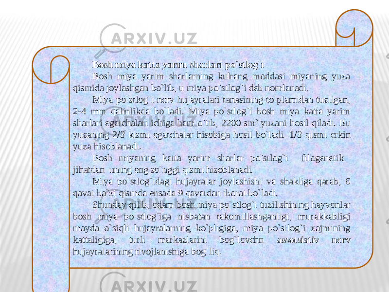 Bosh miya katta yarim sharlari po`stlog`i Bosh miya yarim sharlarning kulrang moddasi miyaning yuza qismida joylashgan bo`lib, u miya po`stlog`i deb nomlanadi. Miya po`stlog`i nerv hujayralari tanasining to`plamidan tuzilgan, 2-4 mm qalinlikda bo`ladi. Miya po`stlog`i bosh miya katta yarim sharlari egatchalari ichiga ham o`tib, 2200 sm 2 yuzani hosil qiladi. Bu yuzaning 2 / 3 kismi egatchalar hisobiga hosil bo`ladi. 1 / 3 qismi erkin yuza hisoblanadi. Bosh miyaning katta yarim sharlar po`stlog`i filogenetik jihatdan uning eng so`nggi qismi hisoblanadi. Miya po`stlog`idagi hujayralar joylashishi va shakliga qarab, 6 qavat ba`zi qismda ensada 9 qavatdan iborat bo`ladi. Shunday qilib, odam bosh miya po`stlog`i tuzilishining hayvonlar bosh miya po`stlog`iga nisbatan takomillashganligi, murakkabligi mayda o`siqli hujayralarning ko`pligiga, miya po`stlog`i xajmining kattaligiga, turli markazlarini bog`lovchn assotsiativ nerv hujayralarining rivojlanishiga bog`liq. 