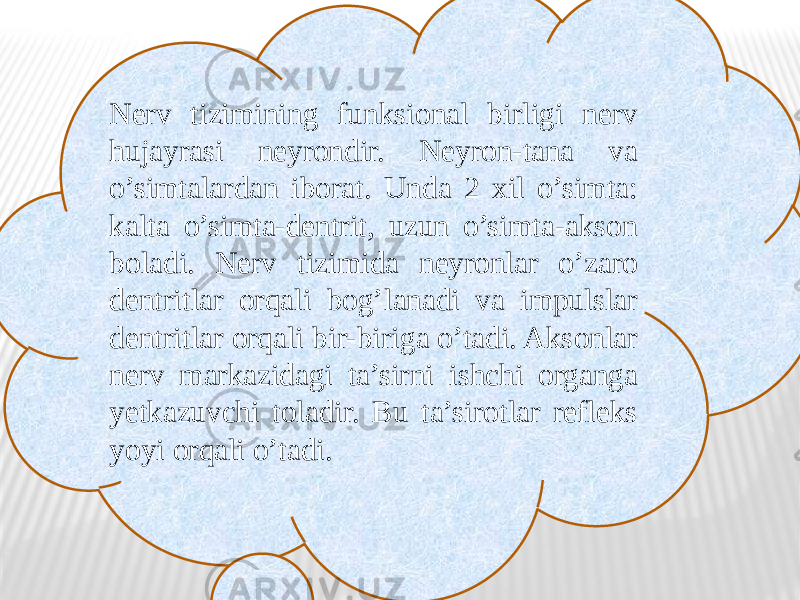 Nerv tizimining funksional birligi nerv hujayrasi neyrondir. Neyron-tana va o’simtalardan iborat. Unda 2 xil o’simta: kalta o’simta-dentrit, uzun o’simta-akson boladi. Nerv tizimida neyronlar o’zaro dentritlar orqali bog’lanadi va impulslar dentritlar orqali bir-biriga o’tadi. Aksonlar nerv markazidagi ta’sirni ishchi organga yetkazuvchi toladir. Bu ta’sirotlar refleks yoyi orqali o’tadi. 