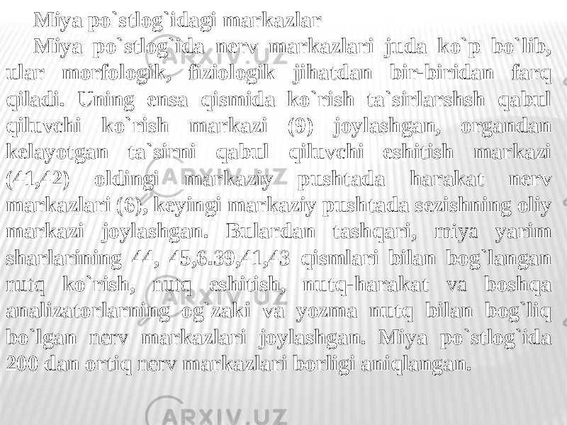 Miya po`stlog`idagi markazlar Miya po`stlog`ida nerv markazlari juda ko`p bo`lib, ular morfologik, fiziologik jihatdan bir-biridan farq qiladi. Uning ensa qismida ko`rish ta`sirlarshsh qabul qiluvchi ko`rish markazi (9) joylashgan, organdan kelayotgan ta`sirni qabul qiluvchi eshitish markazi (41,42) oldingi markaziy pushtada harakat nerv markazlari (6), keyingi markaziy pushtada sezishning oliy markazi joylashgan. Bulardan tashqari, miya yarim sharlarining 44, 45,6.39,41,43 qismlari bilan bog`langan nutq ko`rish, nutq eshitish, nutq-harakat va boshqa analizatorlarning og`zaki va yozma nutq bilan bog`liq bo`lgan nerv markazlari joylashgan. Miya po`stlog`ida 200 dan ortiq nerv markazlari borligi aniqlangan. 