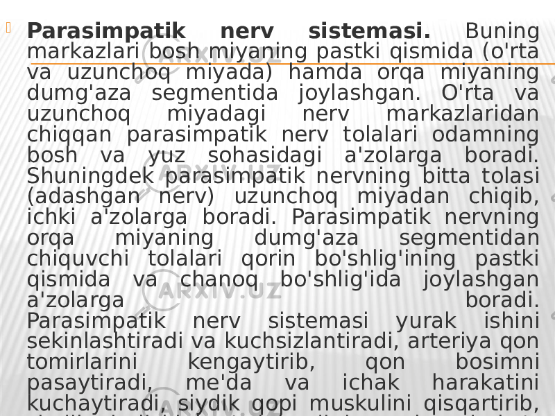  Parasimpatik nerv sistemasi. Buning markazlari bosh miyaning pastki qismida (o&#39;rta va uzunchoq miyada) hamda orqa miyaning dumg&#39;aza segmentida joylashgan. O&#39;rta va uzunchoq miyadagi nerv markazlaridan chiqqan parasimpatik nerv tolalari odamning bosh va yuz sohasidagi a&#39;zolarga boradi. Shuningdek parasimpatik nervning bitta tolasi (adashgan nerv) uzunchoq miyadan chiqib, ichki a&#39;zolarga boradi. Parasimpatik nervning orqa miyaning dumg&#39;aza segmentidan chiquvchi tolalari qorin bo&#39;shlig&#39;ining pastki qismida va chanoq bo&#39;shlig&#39;ida joylashgan a&#39;zolarga boradi. Parasimpatik nerv sistemasi yurak ishini sekinlashtiradi va kuchsizlantiradi, arteriya qon tomirlarini kengaytirib, qon bosimni pasaytiradi, me&#39;da va ichak harakatini kuchaytiradi, siydik qopi muskulini qisqartirib, siydik ajralishini ta&#39;minlaydi, bronx hamda ko&#39;z qorachig&#39;ini toraytiradi, ter ajralishini kamaytiradi. 