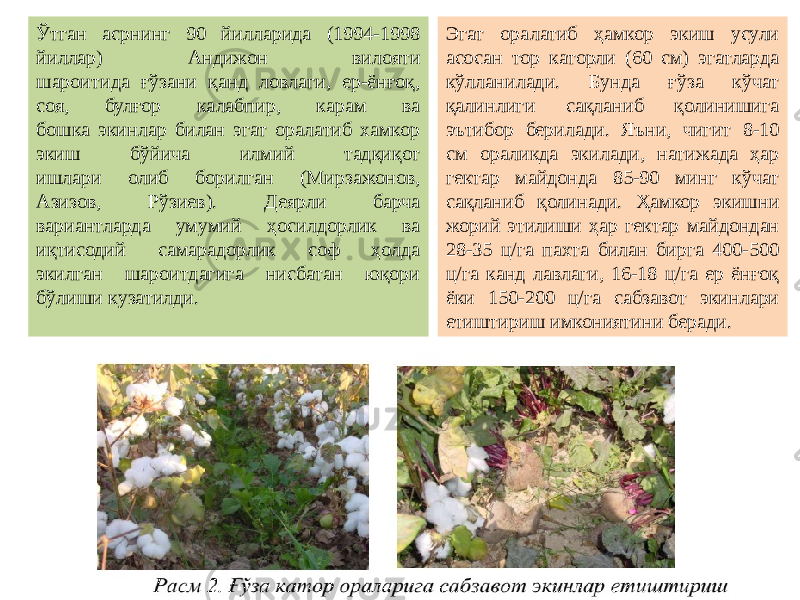 Ўтган асрнинг 90 йилларида (1994-1998 йиллар) Андижон вилояти шароитида ғўзани қанд ловлаги, ер-ёнғоқ, соя, булғор калабпир, карам ва бошка экинлар билан эгат оралатиб хамкор экиш бўйича илмий тадқиқот ишлари олиб борилган (Мирзажонов, Азизов, Рўзиев). Деярли барча вариантларда умумий ҳосилдорлик ва иқтисодий самарадорлик соф ҳолда экилган шароитдагига нисбатан юқори бўлиши кузатилди. Эгат оралатиб ҳамкор экиш усули асосан тор каторли (60 см) эгатларда кўлланилади. Бунда ғўза кўчат қалинлиги сақланиб қолинишига эътибор берилади. Яъни, чигит 8-10 см ораликда экилади, натижада ҳар гектар майдонда 85-90 минг кўчат сақланиб қолинади. Ҳамкор экишни жорий этилиши ҳар гектар майдондан 28-35 ц/га пахта билан бирга 400-500 ц/га канд лавлаги, 16-18 ц/га ер ёнғоқ ёки 150-200 ц/га сабзавот экинлари етиштириш имкониятини беради. 