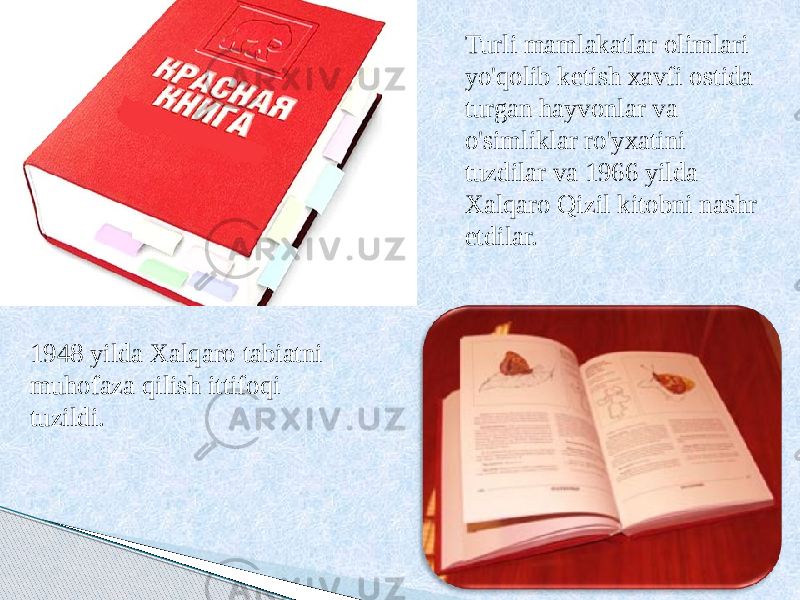 1948 yilda Xalqaro tabiatni muhofaza qilish ittifoqi tuzildi. Turli mamlakatlar olimlari yo&#39;qolib ketish xavfi ostida turgan hayvonlar va o&#39;simliklar ro&#39;yxatini tuzdilar va 1966 yilda Xalqaro Qizil kitobni nashr etdilar. 