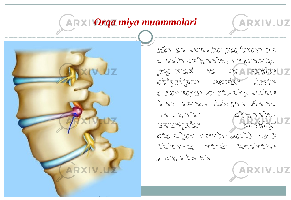 Orqa miya muammolari Har bir umurtqa pog’onasi o&#39;z o&#39;rnida bo&#39;lganida, na umurtqa pog&#39;onasi va na undan chiqadigan nervlar bosim o&#39;tkazmaydi va shuning uchun ham normal ishlaydi. Ammo umurtqalar siljiganida, umurtqalar orasidagi cho&#39;zilgan nervlar siqilib, asab tizimining ishida buzilishlar yuzaga keladi. 