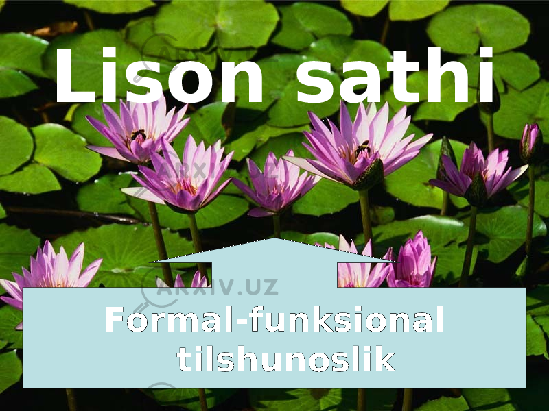 Lison sathi Formal-funksional tilshunoslik 