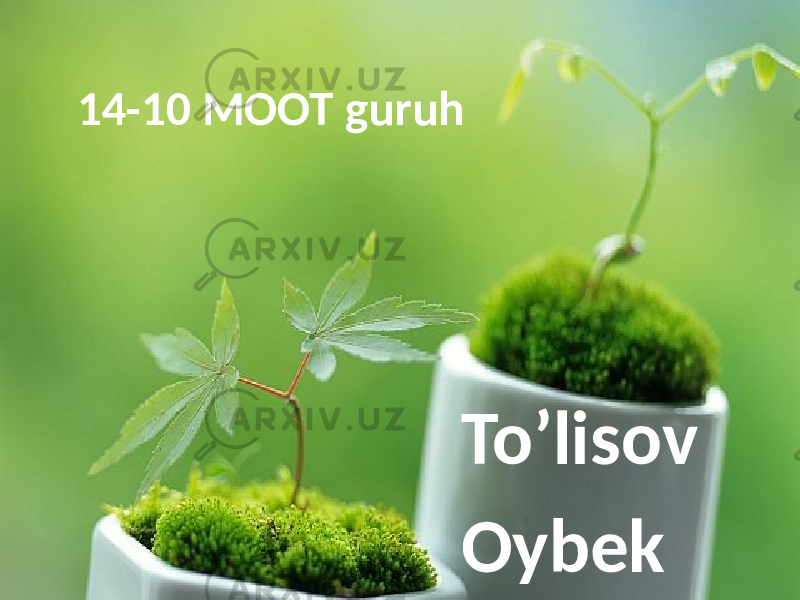 14-10 MOOT guruh To’lisov Oybek 