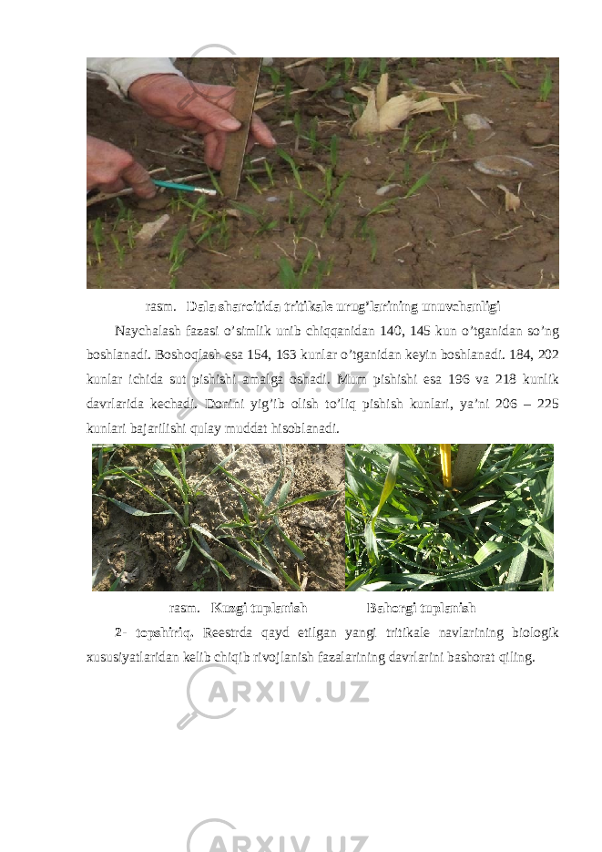 rasm. Dala sharoitida tritikale urug’larining unuvchanligi Naychalash fazasi o’simlik unib chiqqanidan 140, 145 kun o’tganidan so’ng boshlanadi. Boshoqlash esa 154, 163 kunlar o’tganidan keyin boshlanadi. 184, 202 kunlar ichida sut pishishi amalga oshadi. Mum pishishi esa 196 va 218 kunlik davrlarida kechadi. Donini yig’ib olish to’liq pishish kunlari, ya’ni 206 – 225 kunlari bajarilishi qulay muddat hisoblanadi. rasm. Kuzgi tuplanish Bahorgi tuplanish 2- topshiriq. Reestrda qayd etilgan yangi tritikale navlarining biologik xususiyatlaridan kelib chiqib rivojlanish fazalarining davrlarini bashorat qiling. 