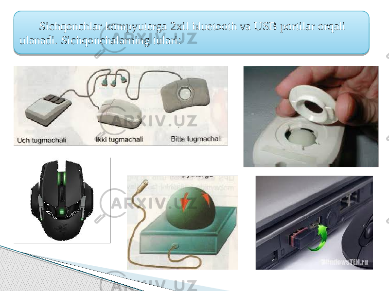  Sichqonchlar kompyuterga 2xil bluetooth va USB portilar orqali ulanadi. Sichqonchalarning tulari: 04 0F 