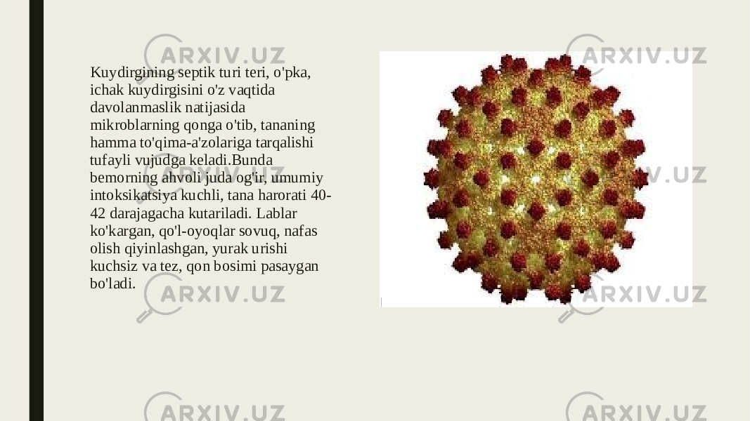 Kuydirgining septik turi teri, o&#39;pka, ichak kuydirgisini o&#39;z vaqtida davolanmaslik natijasida mikroblarning qonga o&#39;tib, tananing hamma to&#39;qima-a&#39;zolariga tarqalishi tufayli vujudga keladi.Bunda bemorning ahvoli juda og&#39;ir, umumiy intoksikatsiya kuchli, tana harorati 40- 42 darajagacha kutariladi. Lablar ko&#39;kargan, qo&#39;l-oyoqlar sovuq, nafas olish qiyinlashgan, yurak urishi kuchsiz va tez, qon bosimi pasaygan bo&#39;ladi. 