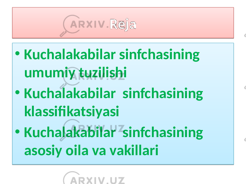 Reja • Kuchalakabilar sinfchasining umumiy tuzilishi • Kuchalakabilar sinfchasining klassifikatsiyasi • Kuchalakabilar sinfchasining asosiy oila va vakillari20 01 1B 05 01 1B 0E0A090C 01 1B 090C0B 