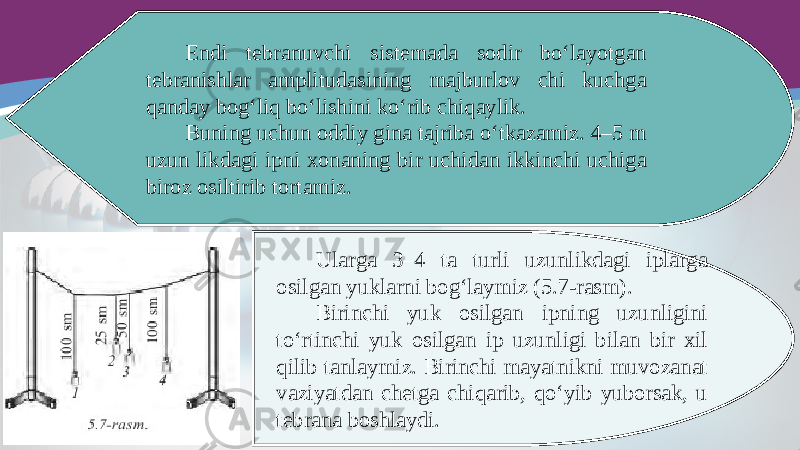 Endi tebranuvchi sistemada sodir bo‘layotgan tebranishlar amplitudasining majburlov chi kuchga qanday bog‘liq bo‘lishini k о‘ rib chiqaylik. Buning uchun oddiy gina tajriba o‘tkazamiz. 4–5 m uzun likdagi ipni xonaning bir uchidan ikkinchi uchiga biroz osiltirib tortamiz. Ularga 3–4 ta turli uzunlikdagi iplarga osilgan yuklarni bog‘laymiz (5.7-rasm). Birinchi yuk osilgan ipning uzunligini to‘rtinchi yuk osilgan ip uzunligi bilan bir xil qilib tanlaymiz. Birinchi mayatnikni muvozanat vaziyatdan chetga chiqarib, qo‘yib yuborsak, u tebrana boshlaydi. 