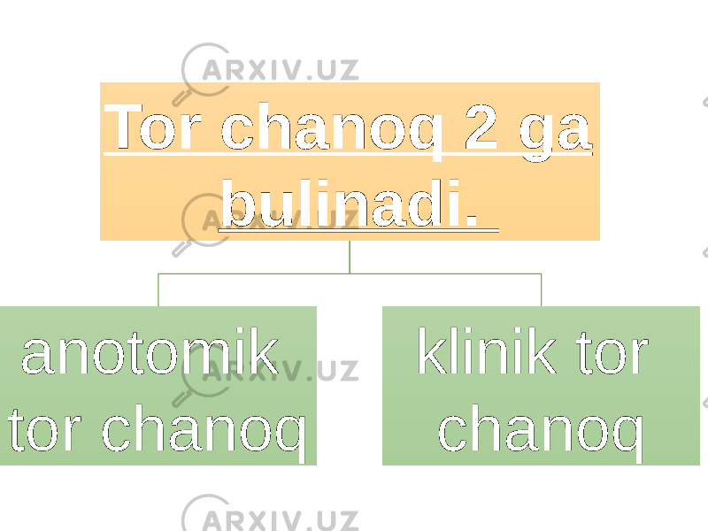 Tor chanoq 2 ga bulinadi. anotomik tor chanoq klinik tor chanoq 