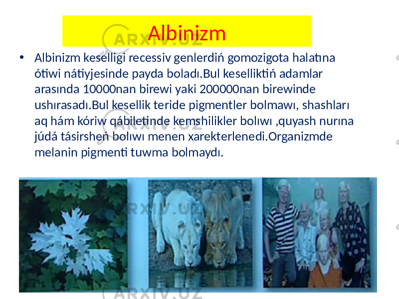 Albinizm • Albinizm keselligi recessiv genlerdiń gomozigota halatına ótiwi nátiyjesinde payda boladı.Bul keselliktiń adamlar arasında 10000nan birewi yaki 200000nan birewinde ushırasadı.Bul kesellik teride pigmentler bolmawı, shashları aq hám kóriw qábiletinde kemshilikler bolıwı ,quyash nurına júdá tásirsheń bolıwı menen xarekterlenedi.Organizmde melanin pigmenti tuwma bolmaydı. 