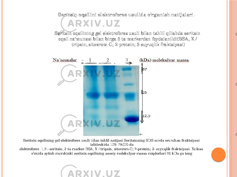 Seritsin oqsilini elektroforez usulida o’rganish natijalari . Seritsin oqsilining gel elektroforez usuli bilan tahlil qilishda seritsin oqsil na‘munasi bilan birga 3 ta markerdan foydalanildi(BSA, X / tripsin, sitoxrom-C; 2-protein; 3-suyuqlik fraktsiyasi) Seritsin oqsilining gel elektroforez usuli bilan tahlil natijasi Seritsinning SDS suvda eruvchan fraktsiyasi ishtirokida 10% PAGE-da elektroforez. 1,2 - seritsin, 3 ta marker BSA, X / tripsin, sitoxrom-C; 2-protein; 3- suyuqlik fraktsiyasi. Xulosa o‘rnida aytish mumkinki seritsin oqsilining asosiy molekulyar massa miqdorlari 25 kDa ga teng 