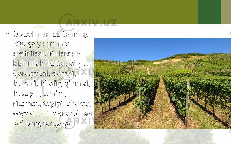 • O&#39;zbekistonda tokning 500 ga yaqin navi o&#39;stiriladi. Bulardan kishmish, kattaqo&#39;rg&#39;on, qorago&#39;zal, daroyi, buvaki, hiloliy, qirmizi, husayni, sohibi, rizamat, toyipi, charos, soyaki, chillaki kabi nav- lari keng tarqalgan 