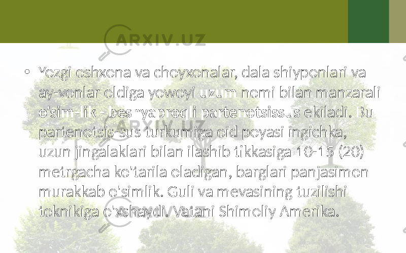 • Yozgi oshxona va choyxonalar, dala shiyponlari va ay-vonlar oldiga yowoyi uzum nomi bilan manzarali o&#39;sim-lik - beshyaproqli partenotsissus ekiladi. Bu partenotsis-sus turkumiga oid poyasi ingichka, uzun jingalaklari bilan ilashib tikkasiga 10-15 (20) metrgacha ko&#39;tarila oladigan, barglari panjasimon murakkab o&#39;simlik. Guli va mevasining tuzilishi toknikiga o&#39;xshaydi. Vatani Shimoliy Amerika. 