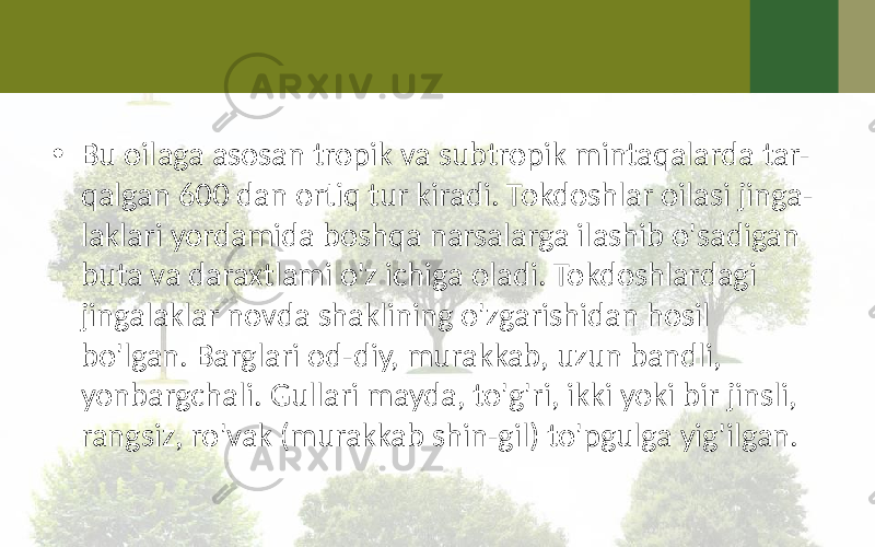 • Bu oilaga asosan tropik va subtropik mintaqalarda tar- qalgan 600 dan ortiq tur kiradi. Tokdoshlar oilasi jinga- laklari yordamida boshqa narsalarga ilashib o&#39;sadigan buta va daraxtlami o&#39;z ichiga oladi. Tokdoshlardagi jingalaklar novda shaklining o&#39;zgarishidan hosil bo&#39;lgan. Barglari od-diy, murakkab, uzun bandli, yonbargchali. Gullari mayda, to&#39;g&#39;ri, ikki yoki bir jinsli, rangsiz, ro&#39;vak (murakkab shin-gil) to&#39;pgulga yig&#39;ilgan. 