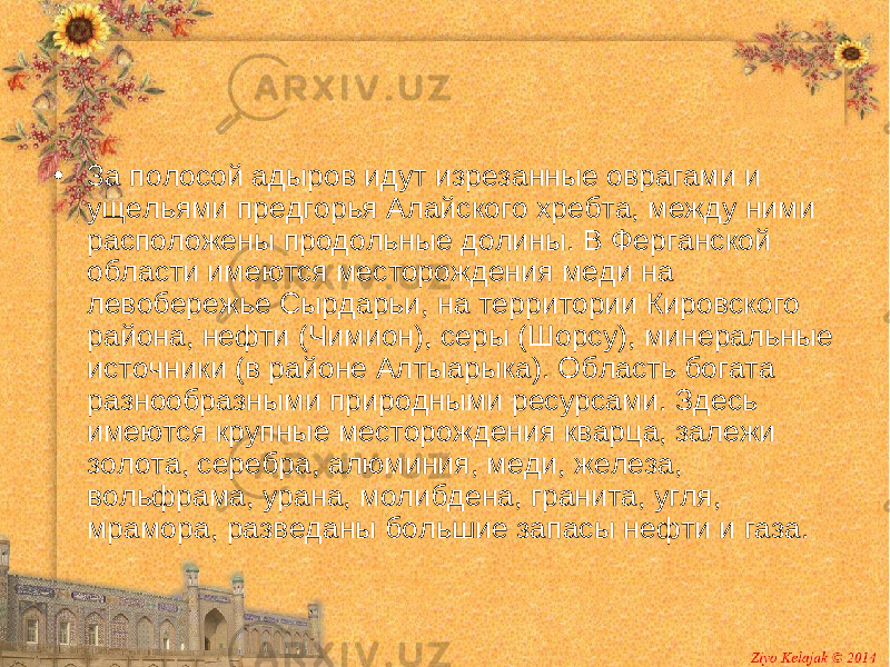 • За полосой адыров идут изрезанные оврагами и ущельями предгорья Алайского хребта, между ними расположены продольные долины. В Ферганской области имеются месторождения меди на левобережье Сырдарьи, на территории Кировского района, нефти (Чимион), серы (Шорсу), минеральные источники (в районе Алтыарыка). Область богата разнообразными природными ресурсами. Здесь имеются крупные месторождения кварца, залежи золота, серебра, алюминия, меди, железа, вольфрама, урана, молибдена, гранита, угля, мрамора, разведаны большие запасы нефти и газа. 