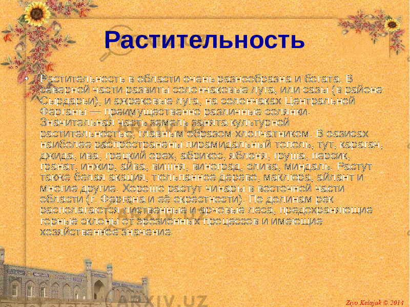 Растительность • Растительность в области очень разнообразна и богата. В северной части развиты солончаковые луга, или сазы (в районе Сырдарьи), и ажрековые луга, на солончаках Центральной Ферганы — преимущественно различные солянки. Значительная часть земель занята культурной растительностью, главным образом хлопчатником. В оазисах наиболее распространены пирамидальный тополь, тут, карагач, джида, ива, грецкий орех, абрикос, яблоня, груша, персик, гранат, инжир, айва, вишня, виноград, слива, миндаль. Растут также белая акация, тюльпанное дерево, маклюра, айлант и многие другие. Хорошо растут чинары в восточной части области (г. Фергана и её окрестности). По долинам рек располагаются лиственные и арчовые леса, предохраняющие горные склоны от эрозионных процессов и имеющие хозяйственное значение. 