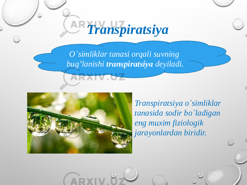 Transpiratsiya o`simliklar tanasida sodir bo`ladigan eng muxim fiziologik jarayonlardan biridir. Transpiratsiya O`simliklar tanasi orqali suvning bug’lanishi transpiratsiya deyiladi. 