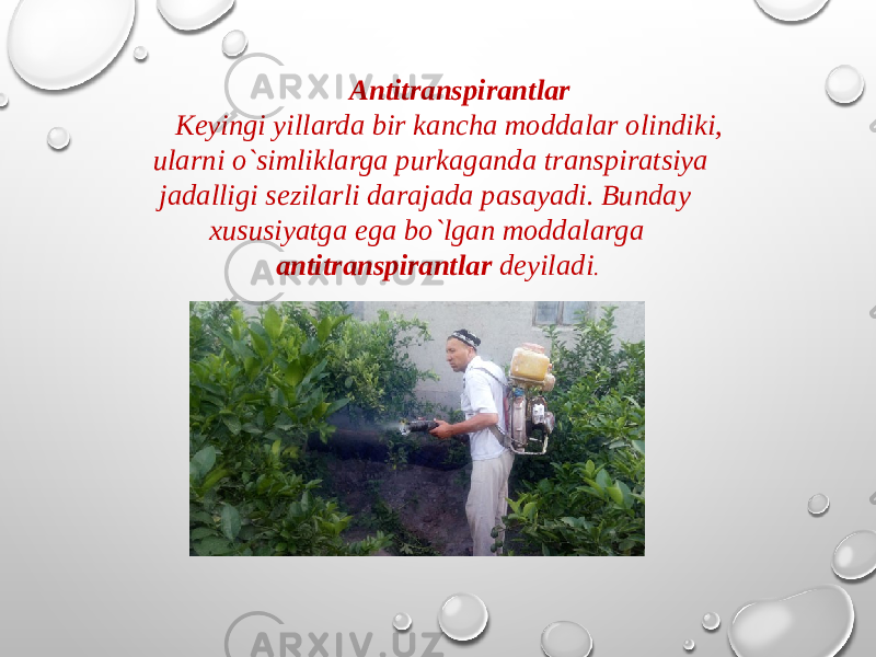  Antitranspirantlar Keyingi yillarda bir kancha moddalar olindiki, ularni o`simlik larga purkaganda transpiratsiya jadalligi sezilarli darajada pasayadi. Bunday xususiyatga ega bo`lgan moddalarga antitranspirantlar deyiladi . 