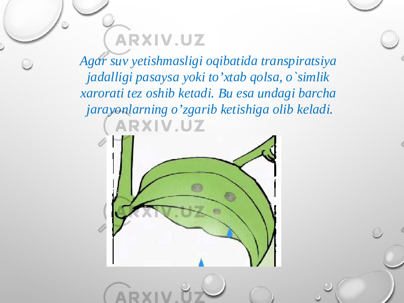 Agar suv yetishmasligi oqibatida transpiratsiya jadalligi pasaysa yoki to’xtab qolsa, o`simlik xarorati tez oshib ketadi. Bu esa undagi barcha jarayonlarning o’zgarib ketishiga olib keladi. 