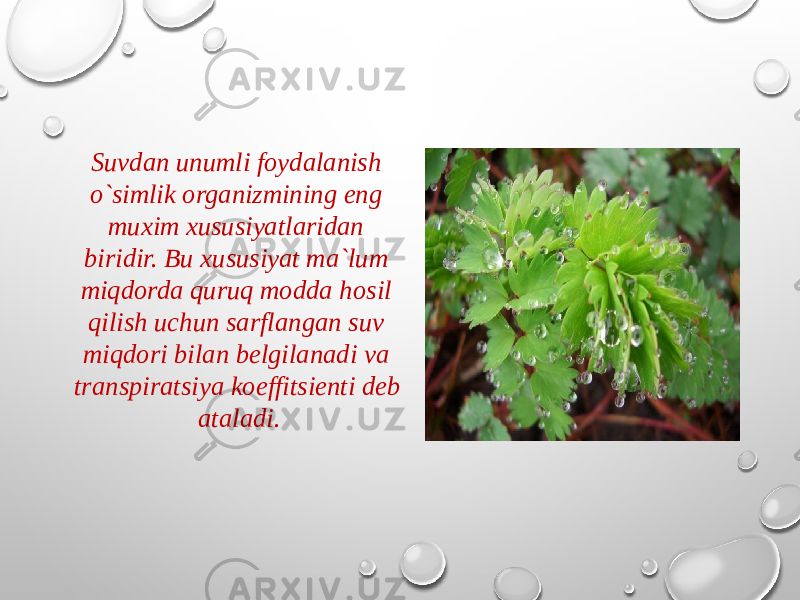 Suvdan unumli foydalanish o`simlik organizmining eng muxim xususiyatlaridan biridir. Bu xususiyat ma`lum miqdorda quruq modda hosil qilish uchun sarflangan suv miqdori bilan belgilanadi va trans piratsiya koeffitsienti deb ataladi. 