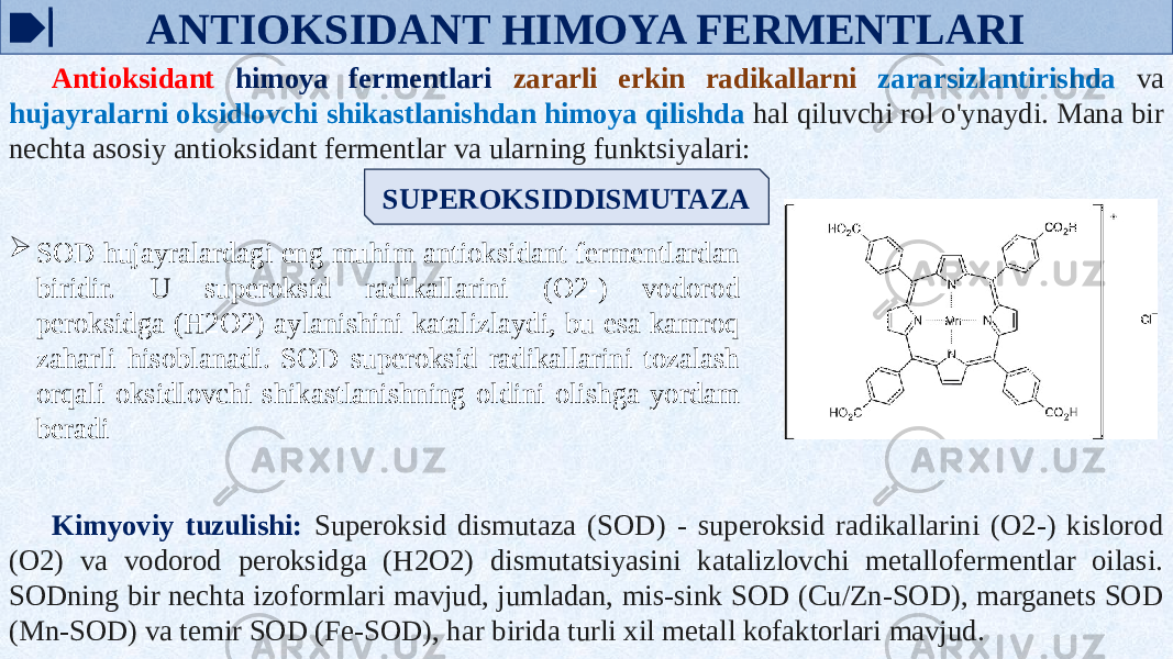 ANTIOKSIDANT HIMOYA FERMENTLARI Antioksidant himoya fermentlari zararli erkin radikallarni zararsizlantirishda va hujayralarni oksidlovchi shikastlanishdan himoya qilishda hal qiluvchi rol o&#39;ynaydi. Mana bir nechta asosiy antioksidant fermentlar va ularning funktsiyalari: SUPEROKSIDDISMUTAZA  SOD hujayralardagi eng muhim antioksidant fermentlardan biridir. U superoksid radikallarini (O2-) vodorod peroksidga (H2O2) aylanishini katalizlaydi, bu esa kamroq zaharli hisoblanadi. SOD superoksid radikallarini tozalash orqali oksidlovchi shikastlanishning oldini olishga yordam beradi Kimyoviy tuzulishi: Superoksid dismutaza (SOD) - superoksid radikallarini (O2-) kislorod (O2) va vodorod peroksidga (H2O2) dismutatsiyasini katalizlovchi metallofermentlar oilasi. SODning bir nechta izoformlari mavjud, jumladan, mis-sink SOD (Cu/Zn-SOD), marganets SOD (Mn-SOD) va temir SOD (Fe-SOD), har birida turli xil metall kofaktorlari mavjud. 