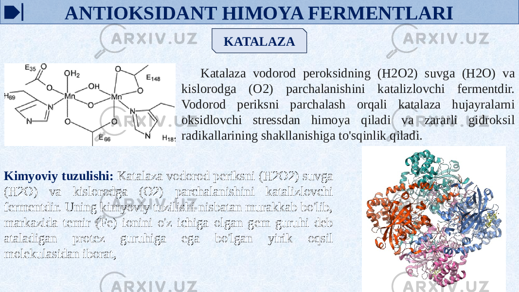 ANTIOKSIDANT HIMOYA FERMENTLARI KATALAZA Katalaza vodorod peroksidning (H2O2) suvga (H2O) va kislorodga (O2) parchalanishini katalizlovchi fermentdir. Vodorod periksni parchalash orqali katalaza hujayralarni oksidlovchi stressdan himoya qiladi va zararli gidroksil radikallarining shakllanishiga to&#39;sqinlik qiladi. Kimyoviy tuzulishi: Katalaza vodorod periksni (H2O2) suvga (H2O) va kislorodga (O2) parchalanishini katalizlovchi fermentdir. Uning kimyoviy tuzilishi nisbatan murakkab bo&#39;lib, markazida temir (Fe) ionini o&#39;z ichiga olgan gem guruhi deb ataladigan protez guruhiga ega bo&#39;lgan yirik oqsil molekulasidan iborat, 