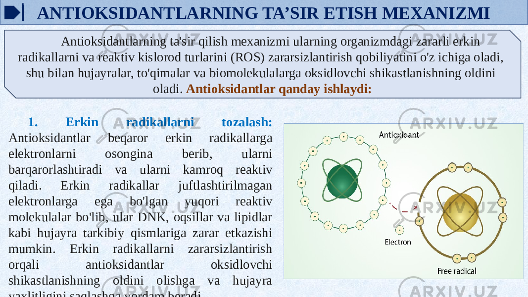 ANTIOKSIDANTLARNING TA’SIR ETISH MEXANIZMI Antioksidantlarning ta&#39;sir qilish mexanizmi ularning organizmdagi zararli erkin radikallarni va reaktiv kislorod turlarini (ROS) zararsizlantirish qobiliyatini o&#39;z ichiga oladi, shu bilan hujayralar, to&#39;qimalar va biomolekulalarga oksidlovchi shikastlanishning oldini oladi. Antioksidantlar qanday ishlaydi: 1. Erkin radikallarni tozalash: Antioksidantlar beqaror erkin radikallarga elektronlarni osongina berib, ularni barqarorlashtiradi va ularni kamroq reaktiv qiladi. Erkin radikallar juftlashtirilmagan elektronlarga ega bo&#39;lgan yuqori reaktiv molekulalar bo&#39;lib, ular DNK, oqsillar va lipidlar kabi hujayra tarkibiy qismlariga zarar etkazishi mumkin. Erkin radikallarni zararsizlantirish orqali antioksidantlar oksidlovchi shikastlanishning oldini olishga va hujayra yaxlitligini saqlashga yordam beradi. 