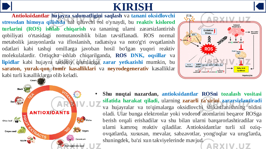 KIRISH Antioksidantlar hujayra salomatligini saqlash va tanani oksidlovchi stressdan himoya qilishda hal qiluvchi rol o&#39;ynaydi, bu reaktiv kislorod turlarini (ROS) ishlab chiqarish va tananing ularni zararsizlantirish qobiliyati o&#39;rtasidagi nomutanosiblik bilan tavsiflanadi. ROS normal metabolik jarayonlarda va ifloslanish, radiatsiya va noto&#39;g&#39;ri ovqatlanish odatlari kabi tashqi omillarga javoban hosil bo&#39;lgan yuqori reaktiv molekulalardir. Ortiqcha ishlab chiqarilganda, ROS DNK, oqsillar va lipidlar kabi hujayra tarkibiy qismlariga zarar yetkazishi mumkin, bu saraton, yurak-qon tomir kasalliklari va neyrodegenerativ kasalliklar kabi turli kasalliklarga olib keladi. • Shu nuqtai nazardan, antioksidantlar ROSni tozalash vositasi sifatida harakat qiladi, ularning zararli ta&#39;sirini zararsizlantiradi va hujayralar va to&#39;qimalarga oksidlovchi shikastlanishning oldini oladi. Ular bunga elektronlar yoki vodorod atomlarini beqaror ROSga berish orqali erishadilar va shu bilan ularni barqarorlashtiradilar va ularni kamroq reaktiv qiladilar. Antioksidantlar turli xil oziq- ovqatlarda, xususan, mevalar, sabzavotlar, yong&#39;oqlar va urug&#39;larda, shuningdek, ba&#39;zi xun takviyelerinde mavjud. 