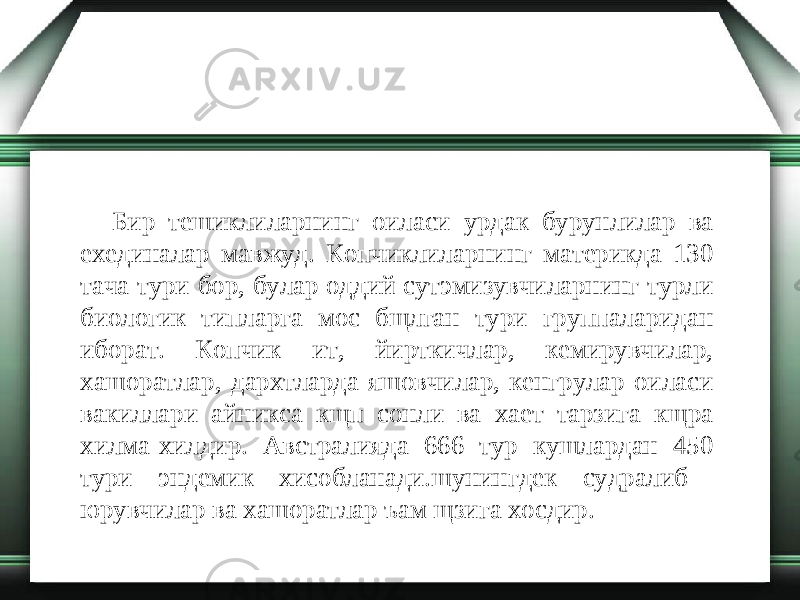 Бир тешиклиларнинг оиласи урдак бурунлилар ва ехединалар мавжуд. Копчиклиларнинг материкда 130 тача тури бор, булар оддий сутэмизувчиларнинг турли биологик типларга мос бщлган тури группаларидан иборат. Копчик ит, йирткичлар, кемирувчилар, хашоратлар, дархтларда яшовчилар, кенгрулар оиласи вакиллари айникса кщп сонли ва хает тарзига кщра хилма-хилдир. Австралияда 666 тур кушлардан 450 тури эндемик хисобланади.шунингдек судралиб юрувчилар ва хашоратлар ъам щзига хосдир. 