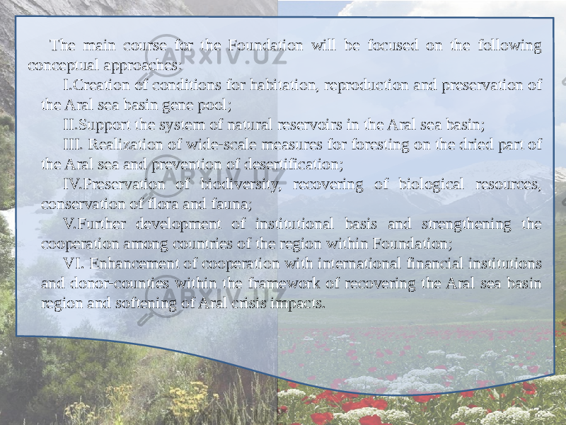 The main course for the Foundation will be focused on the following conceptual approaches: I. Creation of conditions for habitation, reproduction and preservation of the Aral sea basin gene pool; II. Support the system of natural reservoirs in the Aral sea basin; III. Realization of wide-scale measures for foresting on the dried part of the Aral sea and prevention of desertification; IV. Preservation of biodiversity, recovering of biological resources, conservation of flora and fauna; V. Further development of institutional basis and strengthening the cooperation among countries of the region within Foundation; VI. Enhancement of cooperation with international financial institutions and donor-counties within the framework of recovering the Aral sea basin region and softening of Aral crisis impacts. 