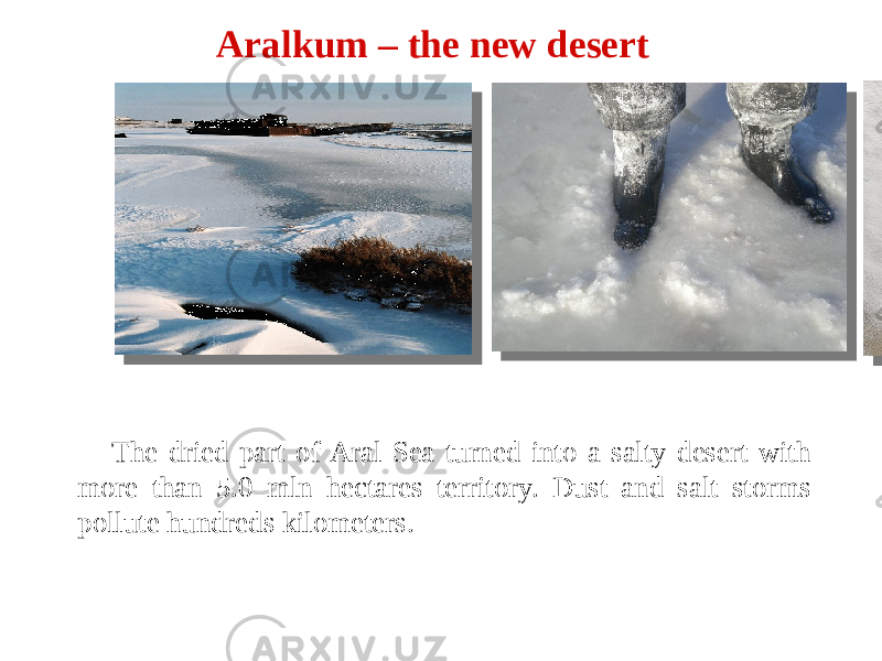 The dried part of Aral Sea turned into a salty desert with more than 5.0 mln hectares territory. Dust and salt storms pollute hundreds kilometers. Aralkum – the new desert 