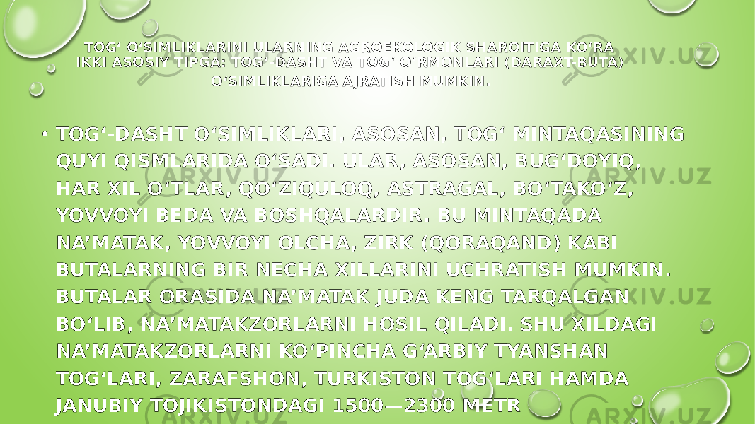 ТOG‘ O‘SIMLIKLARINI ULARNING AGROEKOLOGIK SHAROITIGA KO‘RA IKKI ASOSIY TIРGA: TOG‘-DASHT VA TOG‘ O‘RMONLARI (DARAXT-BUTA) O‘SIMLIKLARIGA AJRATISH MUMKIN . • ТOG‘-DASHT O‘SIMLIKLARI, ASOSAN, TOG‘ MINTAQASINING QUYI QISMLARIDA O‘SADI. ULAR, ASOSAN, BUG‘DOYIQ, HAR XIL O‘TLAR, QO‘ZIQULOQ, ASTRAGAL, BO‘TAKO‘Z, YOVVOYI BEDA VA BOSHQALARDIR. BU MINTAQADA NA’MATAK, YOVVOYI OLCHA, ZIRK (QORAQAND) KABI BUTALARNING BIR NECHA XILLARINI UCHRATISH MUMKIN. BUTALAR ORASIDA NA’MATAK JUDA KENG TARQALGAN BO‘LIB, NA’MATAKZORLARNI HOSIL QILADI. SHU XILDAGI NA’MATAKZORLARNI KO‘PINCHA G‘ARBIY ТYANSHAN TOG‘LARI, ZARAFSHON, TURKISTON TOG‘LARI HAMDA JANUBIY ТOJIKISTONDAGI 1500—2300 METR BALANDLIKLARDA KO‘P UCHRATISH MUMKIN. 