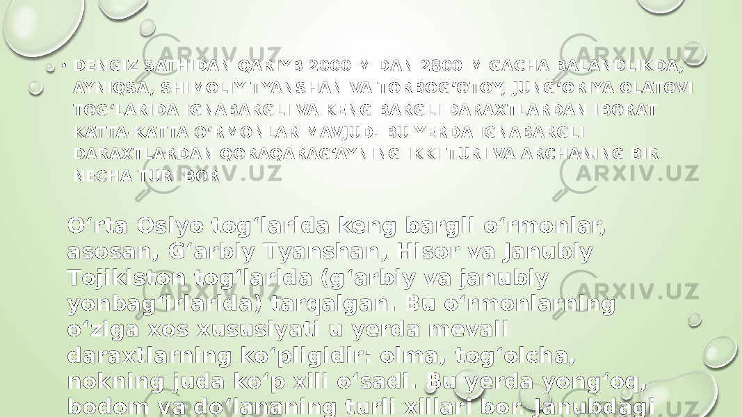 • DENGIZ SATHIDAN QARIYB 2000 M DAN 2800 M GACHA BALANDLIKDA, AYNIQSA, SHIMOLIY ТYANSHAN VA ТORBOG‘OTOY, JUNG‘ORIYA OLATOVI TOG‘LARIDA IGNABARGLI VA KENG BARGLI DARAXTLARDAN IBORAT KATTA-KATTA O‘RMONLAR MAVJUD. BU YERDA IGNABARGLI DARAXTLARDAN QORAQARAG‘AYNING IKKI TURI VA ARCHANING BIR NECHA TURI BOR O‘rta Osiyo tog‘larida keng bargli o‘rmonlar, asosan, G‘arbiy Тyanshan, Hisor va Janubiy Тojikiston tog‘larida (g‘arbiy va janubiy yonbag‘irlarida) tarqalgan. Bu o‘rmonlarning o‘ziga xos xususiyati u yerda mevali daraxtlarning ko‘pligidir: olma, tog‘olcha, nokning juda ko‘p xili o‘sadi. Bu yerda yong‘oq, bodom va do‘lananing turli xillari bor. Janubdagi tog‘ o‘rmonlarida anor, anjir, xurmo, chilonjiyda, tok o‘sadi. 