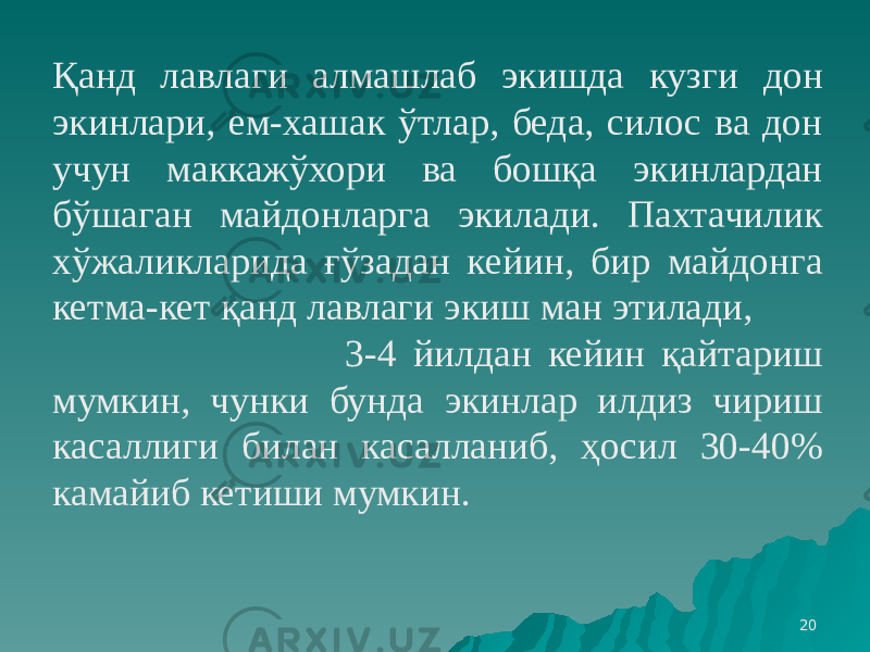 20Қанд лавлаги алмашлаб экишда кузги дон экинлари, ем-хашак ўтлар, беда, силос ва дон учун маккажўхори ва бошқа экинлардан бўшаган майдонларга экилади. Пахтачилик хўжаликларида ғўзадан кейин, бир майдонга кетма-кет қанд лавлаги экиш ман этилади, 3-4 йилдан кейин қайтариш мумкин, чунки бунда экинлар илдиз чириш касаллиги билан касалланиб, ҳосил 30-40% камайиб кетиши мумкин. 