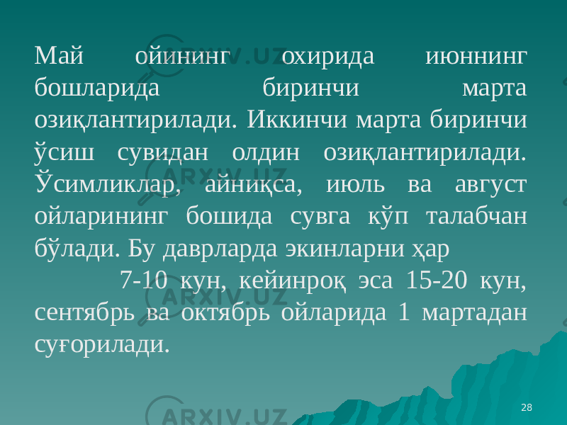 28Май ойининг охирида июннинг бошларида биринчи марта озиқлантирилади. Иккинчи марта биринчи ўсиш сувидан олдин озиқлантирилади. Ўсимликлар, айниқса, июль ва август ойларининг бошида сувга кўп талабчан бўлади. Бу даврларда экинларни ҳар 7-10 кун, кейинроқ эса 15-20 кун, сентябрь ва октябрь ойларида 1 мартадан суғорилади. 