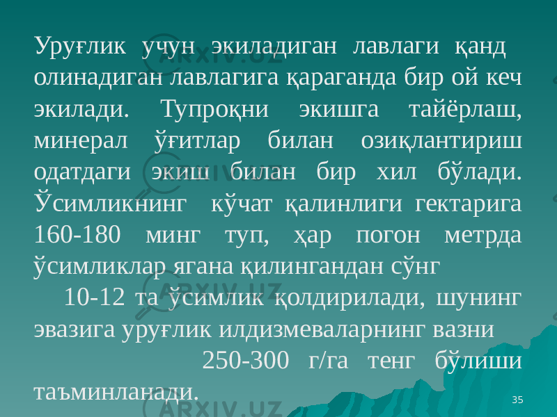 35Уруғлик учун экиладиган лавлаги қанд олинадиган лавлагига қараганда бир ой кеч экилади. Тупроқни экишга тайёрлаш, минерал ўғитлар билан озиқлантириш одатдаги экиш билан бир хил бўлади. Ўсимликнинг кўчат қалинлиги гектарига 160-180 минг туп, ҳар погон метрда ўсимликлар ягана қилингандан сўнг 10-12 та ўсимлик қолдирилади, шунинг эвазига уруғлик илдизмеваларнинг вазни 250-300 г/га тенг бўлиши таъминланади. 